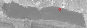 ternovaya_07_10_2017.jpg