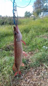 20171007_132926.jpg