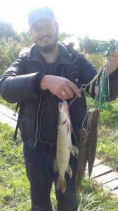 20171007_133541.jpg