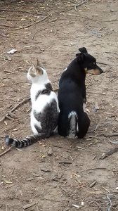 20171008_101216.jpg