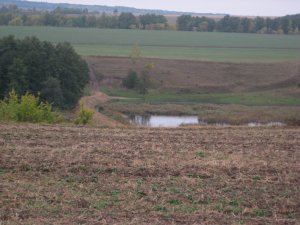 IMG_8684[1].JPG