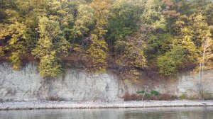 IMG_20171007_095156.jpg