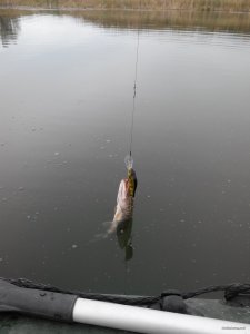 IMG_20171007_152145.jpg