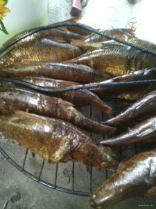 IMG_20171008_173943.jpg