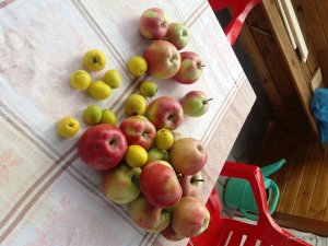 20171007_114323.jpg