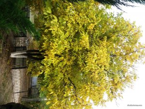 20171008_162312.jpg