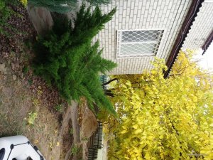 20171008_162342.jpg
