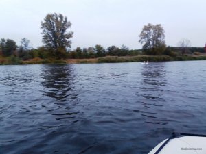20171008_064911.jpg
