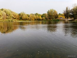 20171008_082046.jpg