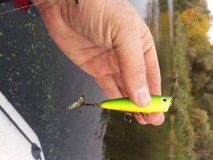 20171008_092026.jpg