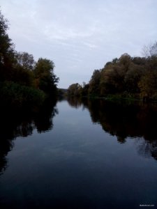 DSC_0128.jpg