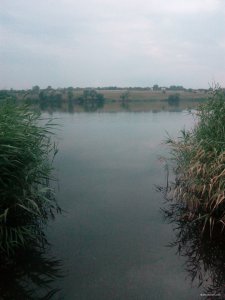IMG_20170713_204209.jpg