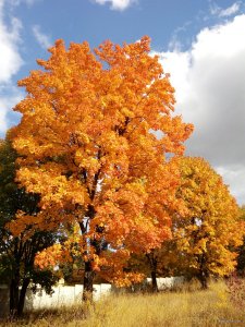 IMG_20171010_131922.jpg