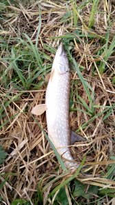 PHOTO_20171010_143757.jpg