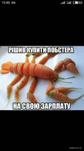image-0-02-04-bfcc67c28fea1c1842c3660cffdd46f192a8b7e73a593e134ff365a5fa6452bb-V.jpg