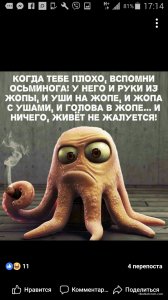 image-0-02-04-4d55b7f0bcf37fa0191c689e1f2c798d293f3070d4b59799bb94ba1a9ab2d595-V.jpg