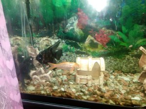 IMG_20171012_215205.jpg