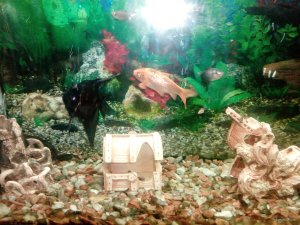 IMG_20171012_215159.jpg