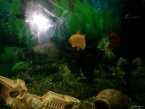 IMG_20171012_213918.jpg