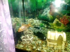 IMG_20171012_213857.jpg