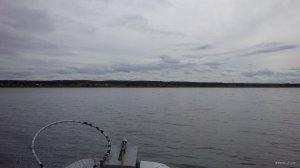 IMG_20171012_144810.jpg