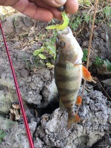 IMG_1789.JPG