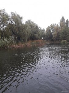 20171015_143103.jpg
