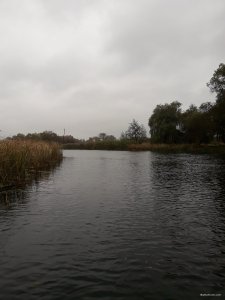 20171015_143059.jpg