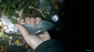 WP_20171014_20_38_57_Pro.jpg