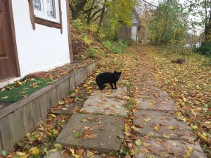 20171015_102051.jpg