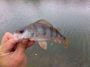 DSC_0001.JPG