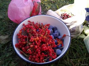 IMG_20171016_164836.jpg