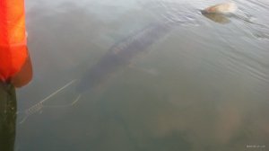 IMG_20171017_171519.jpg