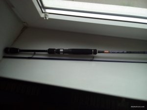 IMG_20171017_113345.jpg