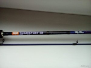 IMG_20171017_113351.jpg