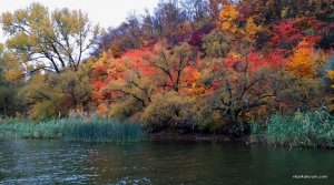 IMG_20171015_145356.jpg