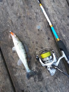 20171018_084830.jpg