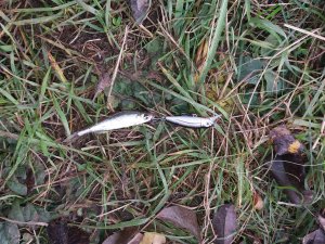20171018_140402.jpg