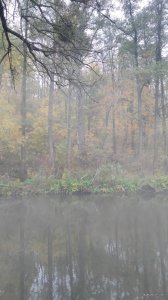 IMG_20171019_075332.jpg