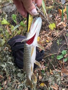 IMG_1812.JPG