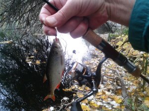 20171019_095701.jpg