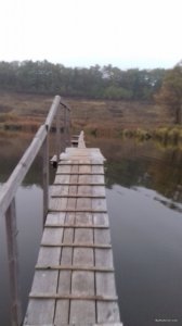 20171019_172423.jpg