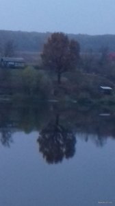 20171019_173301.jpg