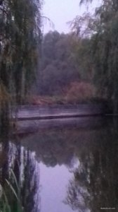 20171019_174130.jpg