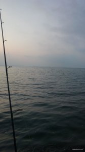 IMG_20171019_071743.jpg