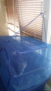 IMG_20171020_131137.jpg