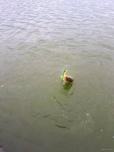 20171020_102127.jpg
