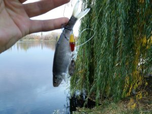 20171021_072152.jpg