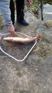 20171021_104525.jpg