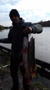 20171021_104644.jpg